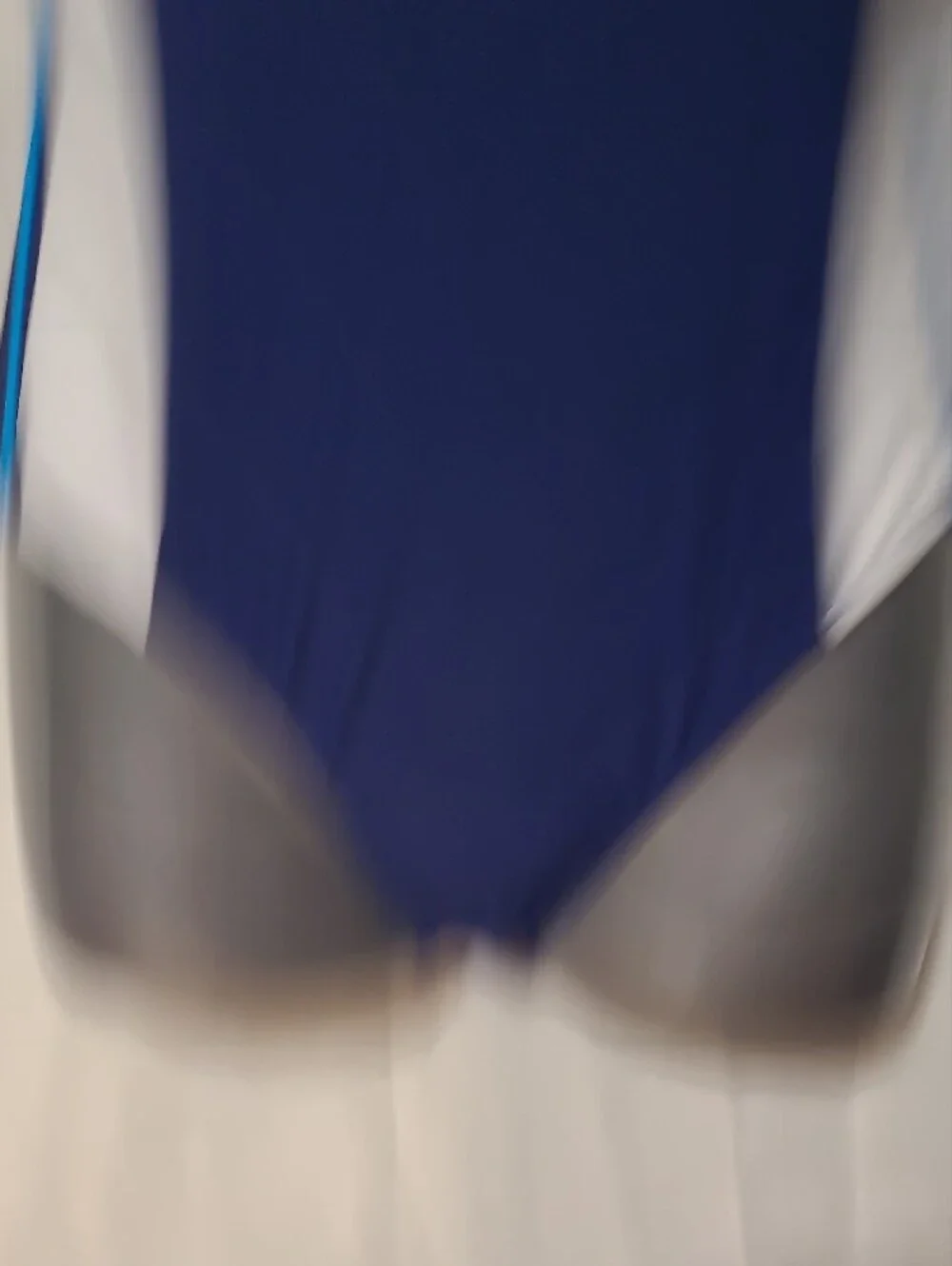 Speedo Navy One-Piece Swimsuit with Aqua Accents